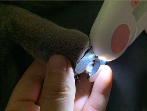 Tijeras para uñas para mascotas, cortaúñas LED para gatos